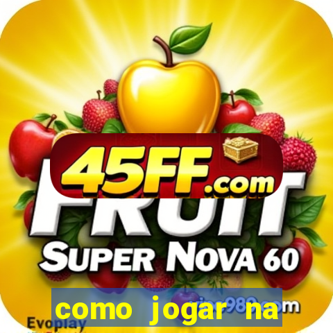 como jogar na seninha online